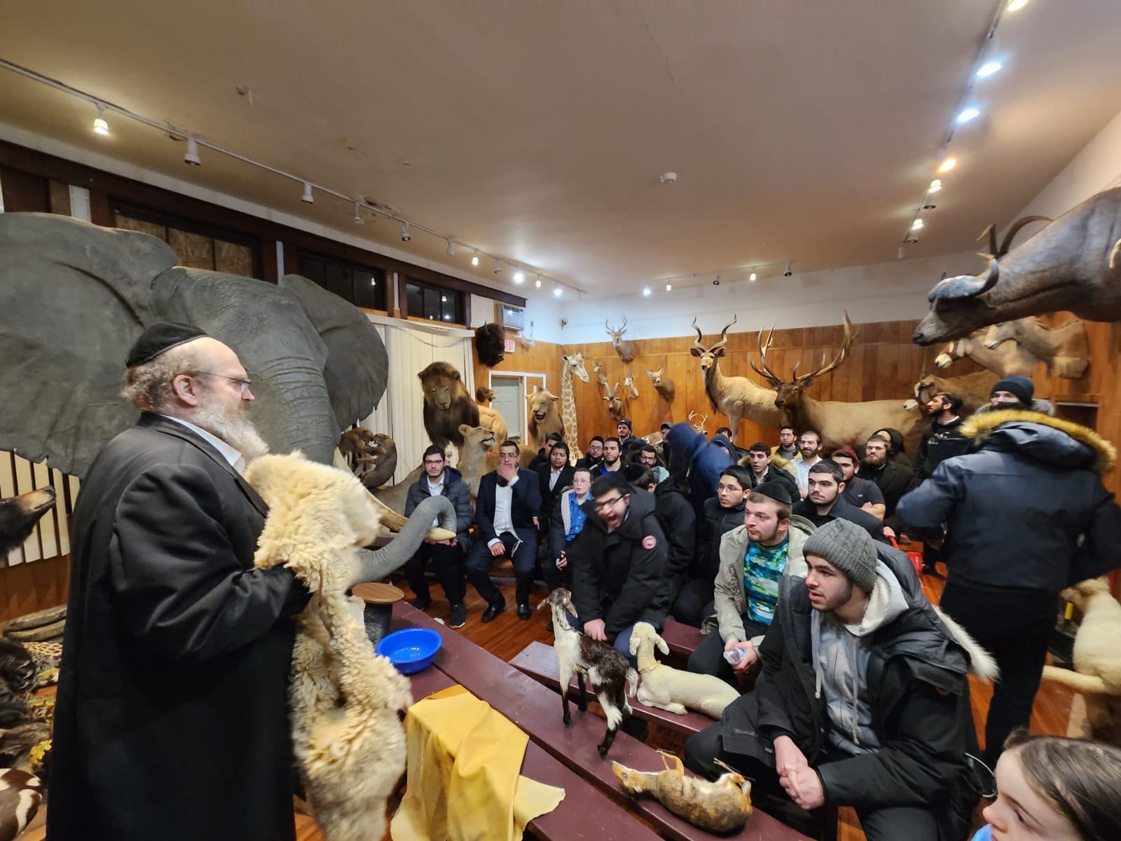 A speaker holding animal hides while talmidim look on